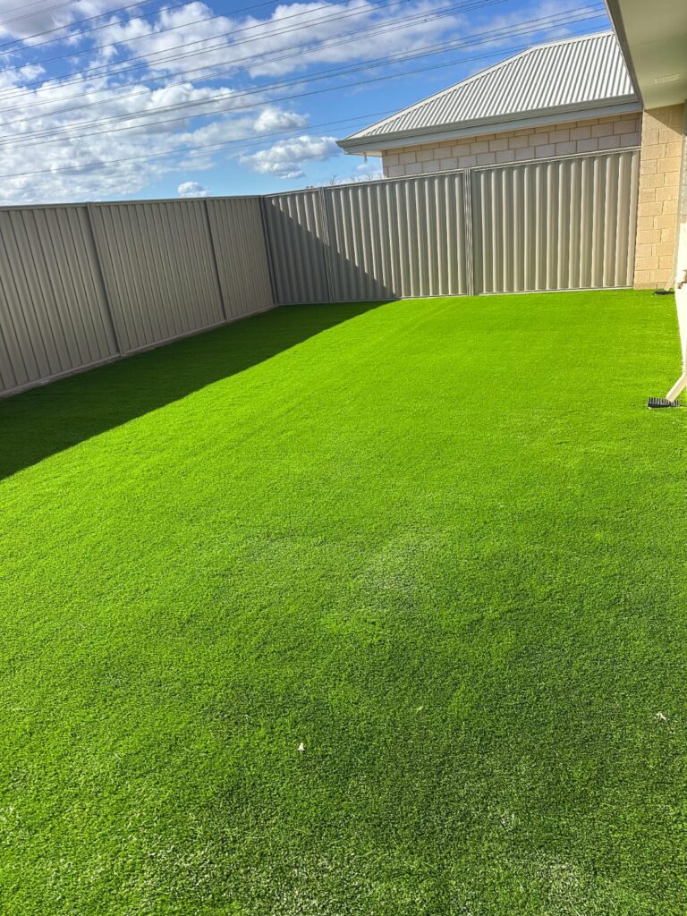 whatsapp image 2025 07 30 at 18.38.12