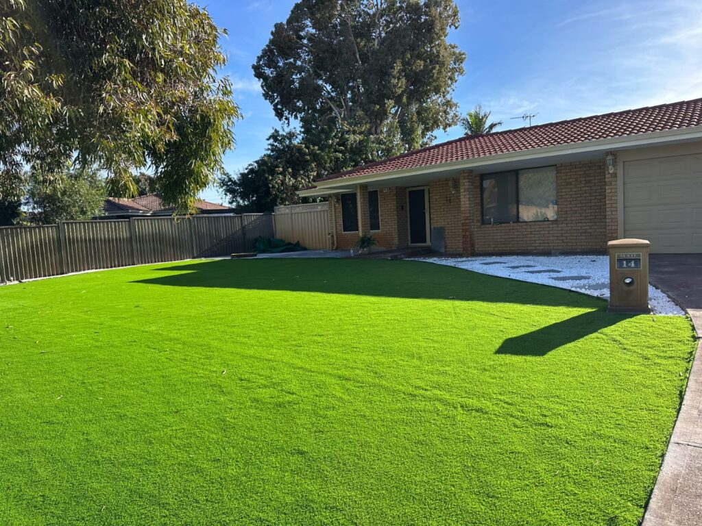 whatsapp image 2025 07 30 at 18.39.49