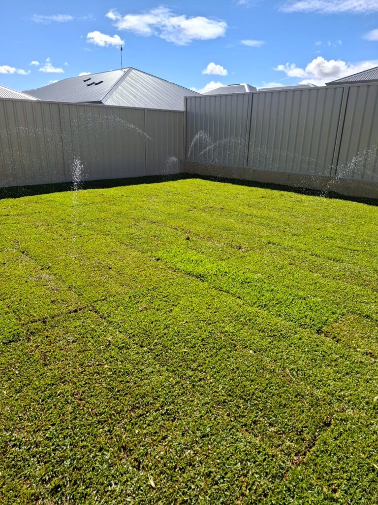 whatsapp image 2025 07 30 at 18.42.58