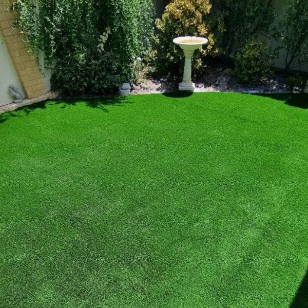 20240220 124119 e1728286013530